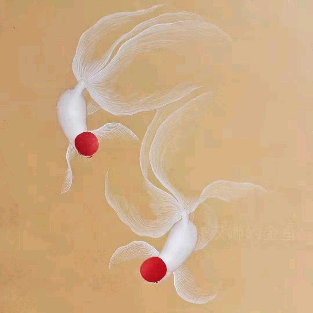 禹豪鱼之乐观赏鱼