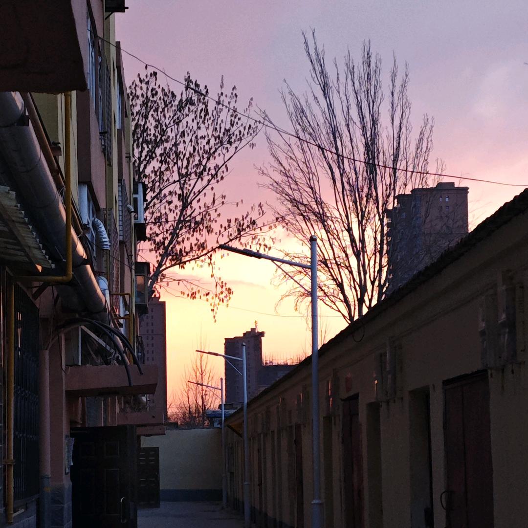 一颗土豆没有皮