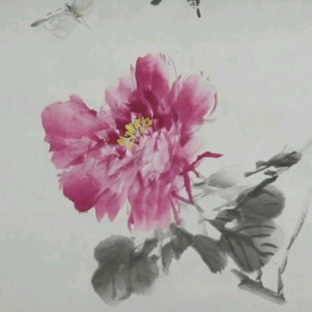 李丹13