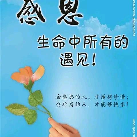 淡定ge