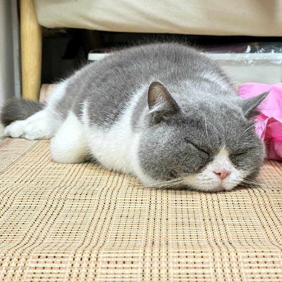 来做个青蒜吧