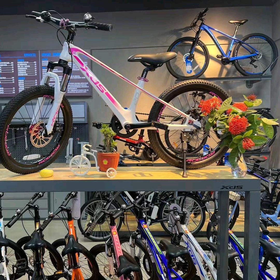 商丘喜德盛自行车香君路店