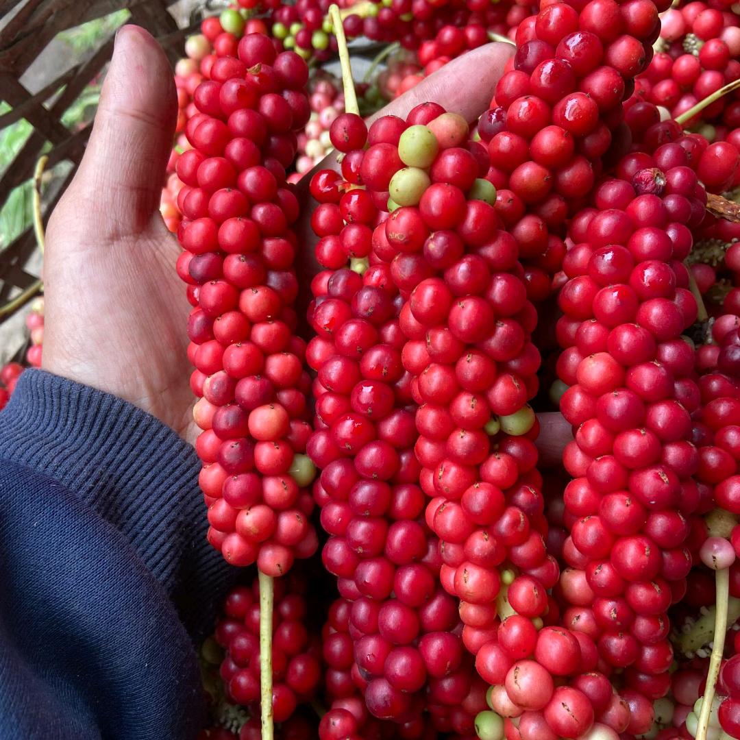 香格里拉土特产