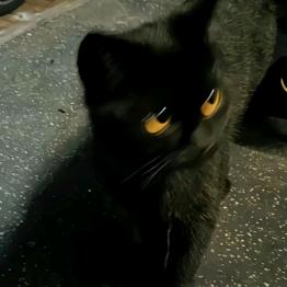 青岛奥斯卡SUPER 张涵