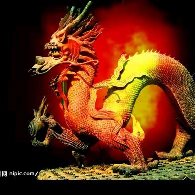 执着独宠，珍爱一人