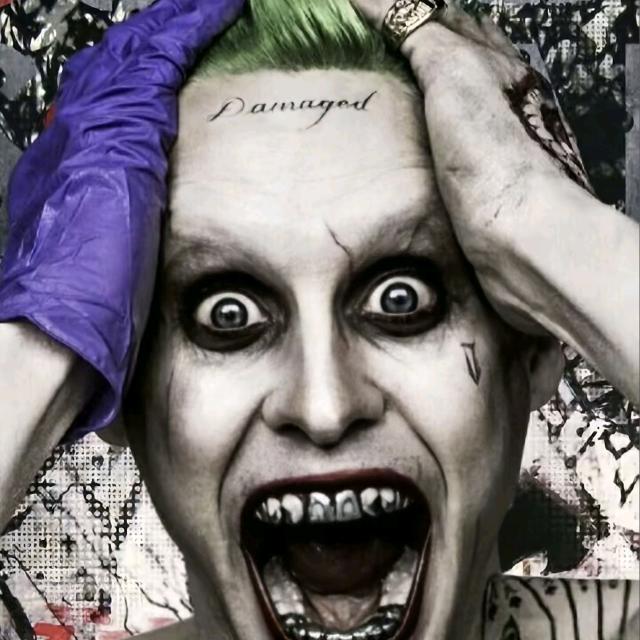 阿琛琛琛琛琛🌸