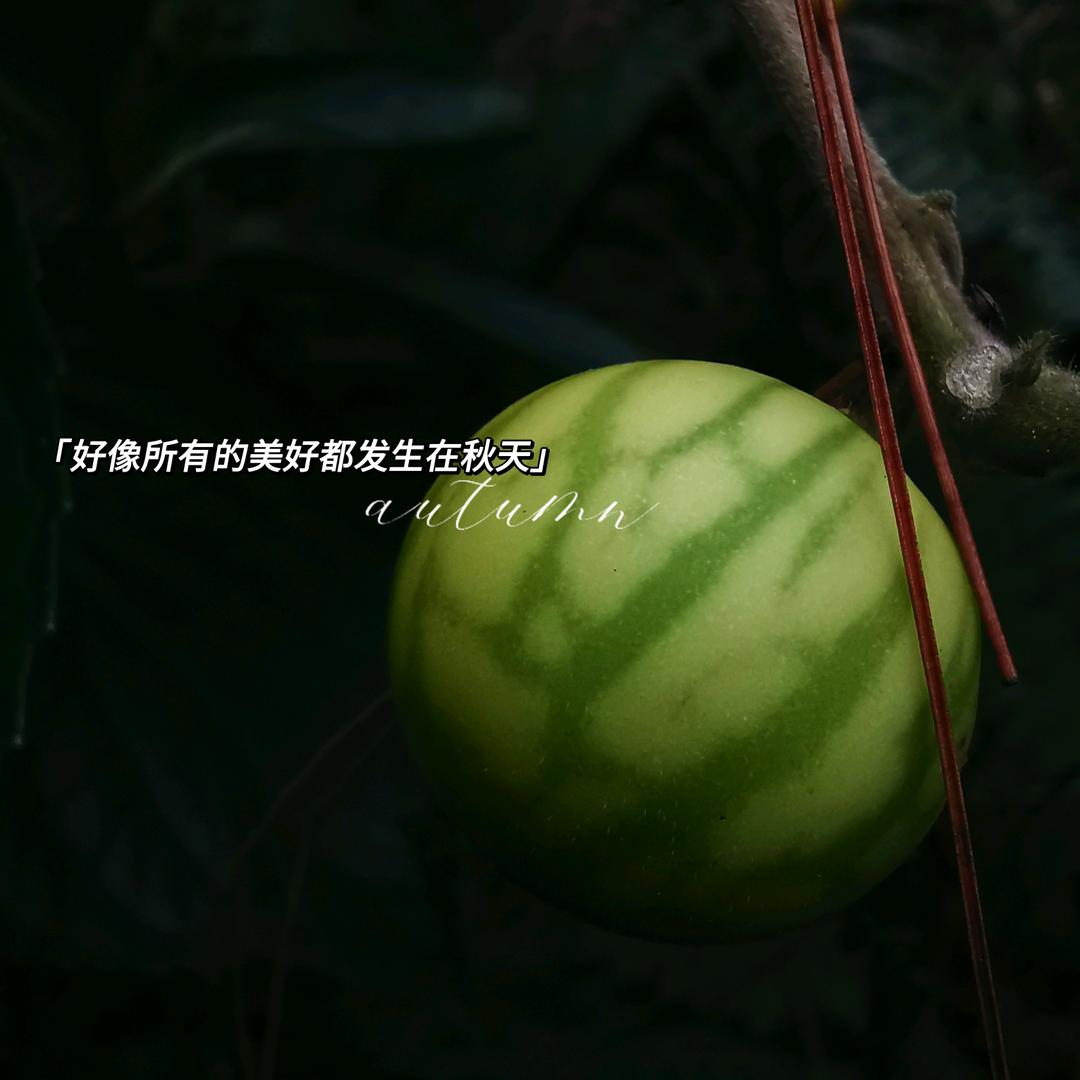 静默