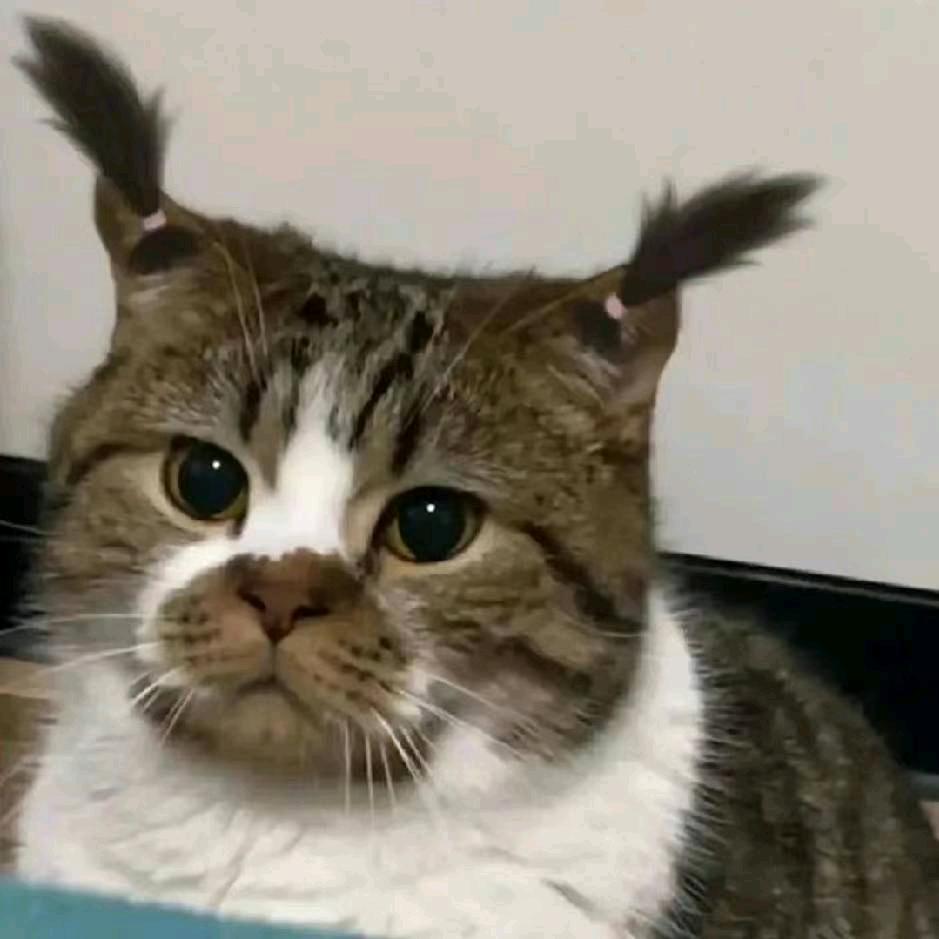 万事不敌我开心