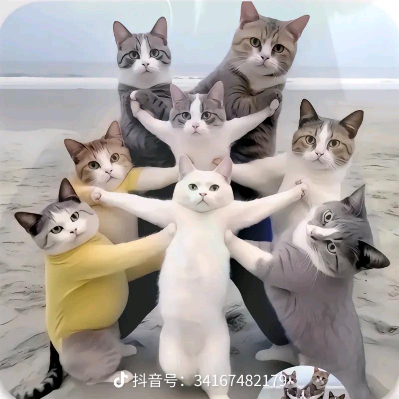 醒着做梦灬