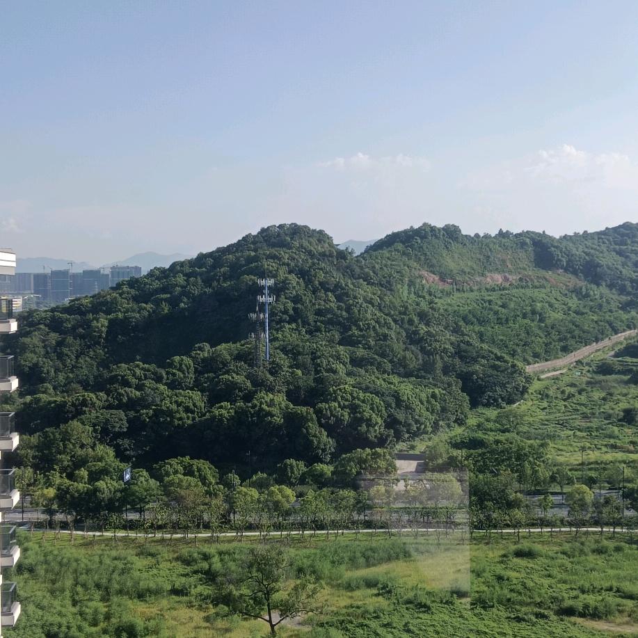 黄哥