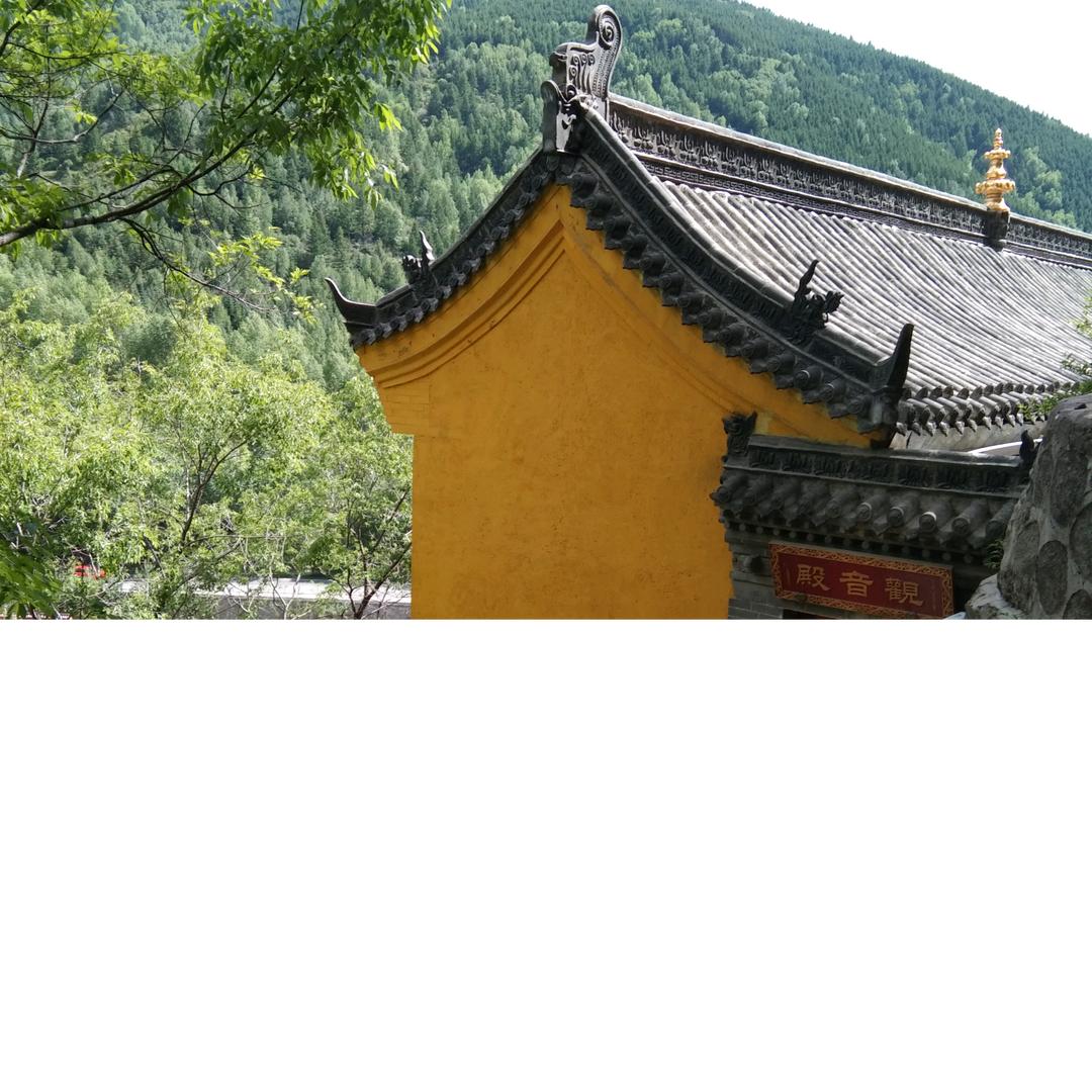 感恩有你，