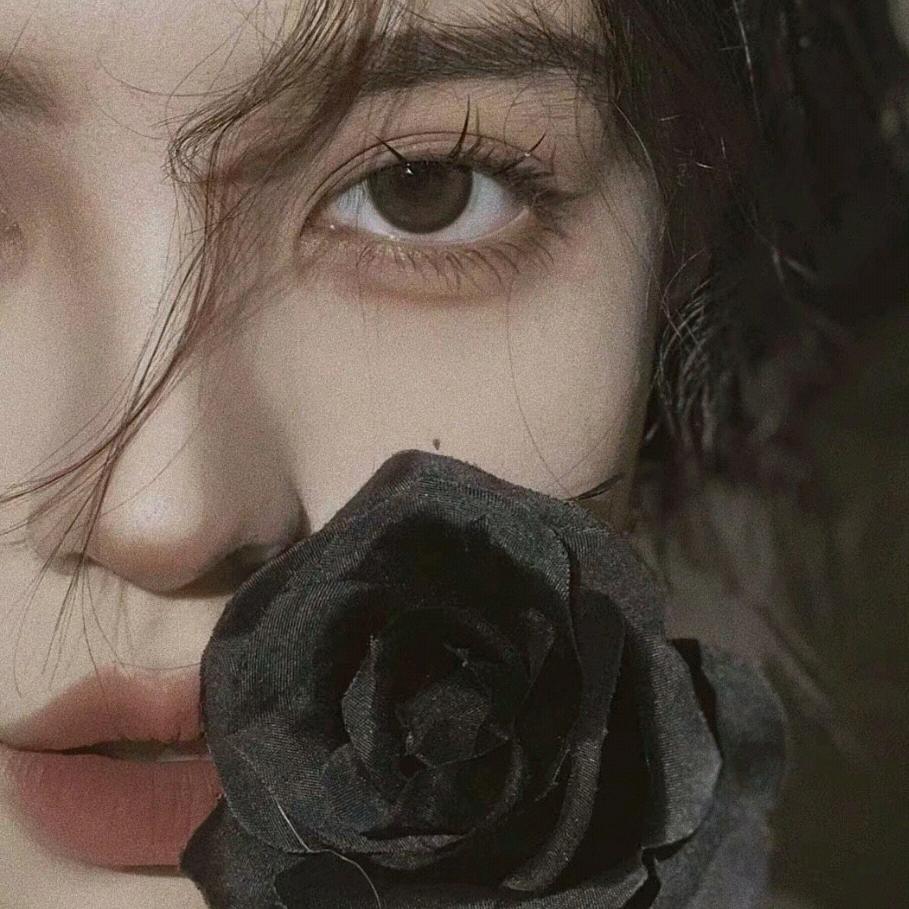 汉堡不要生菜🌈