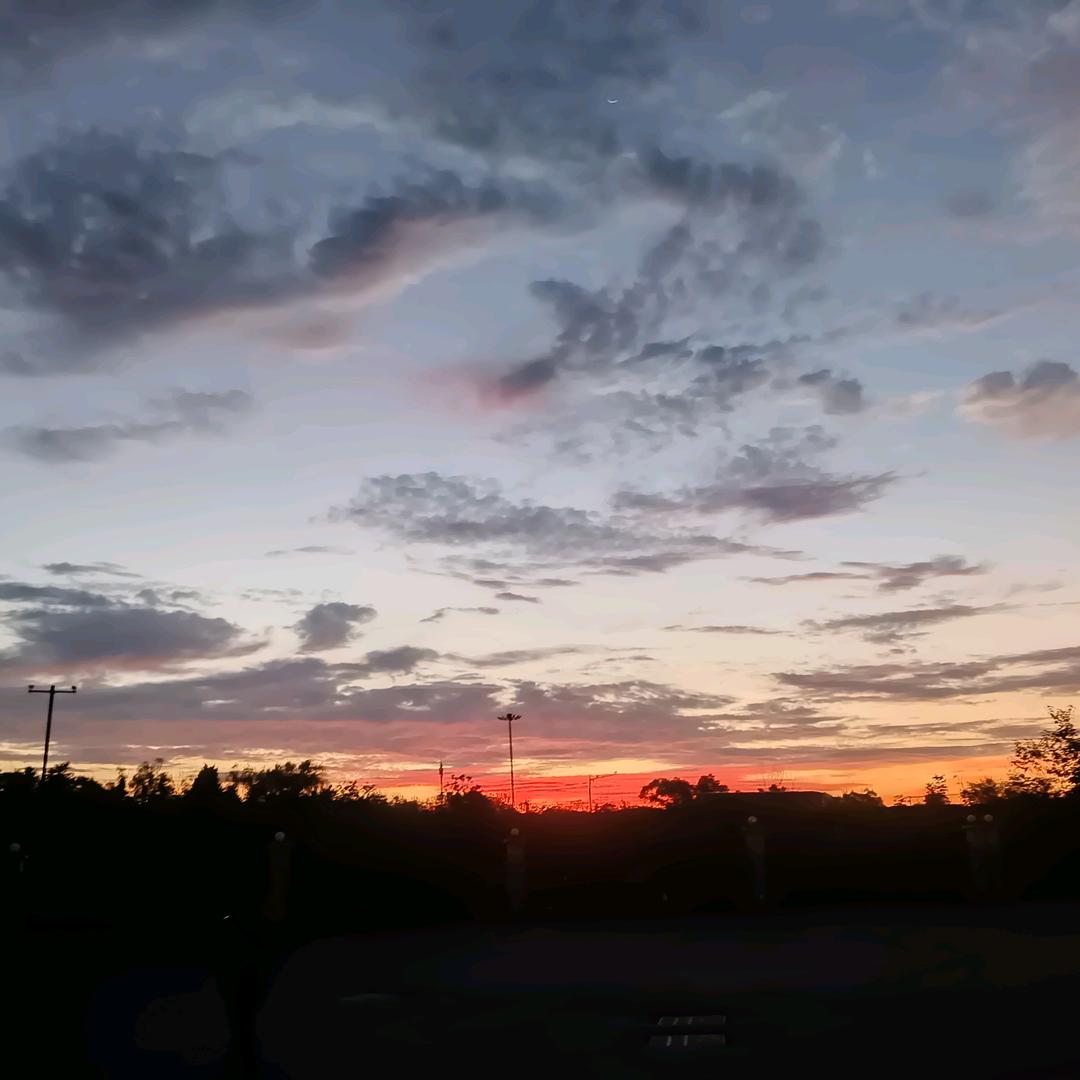 只听歌不发作品