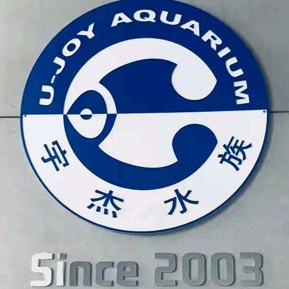 爱鱼族