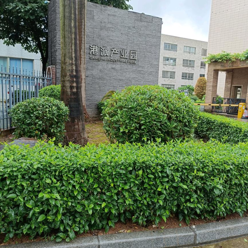 幽默灵魂