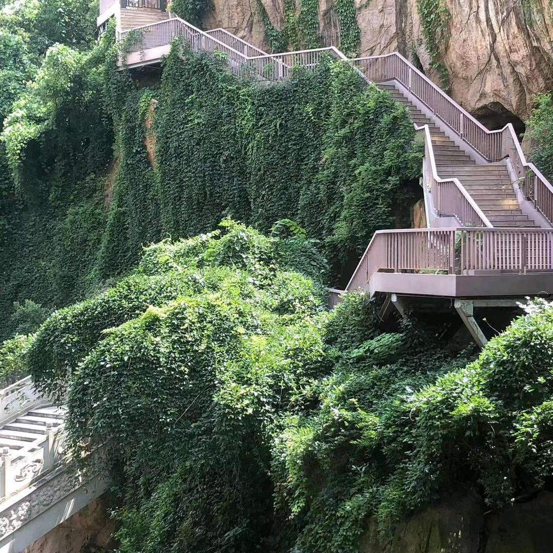 用户4839202878622桃子姐