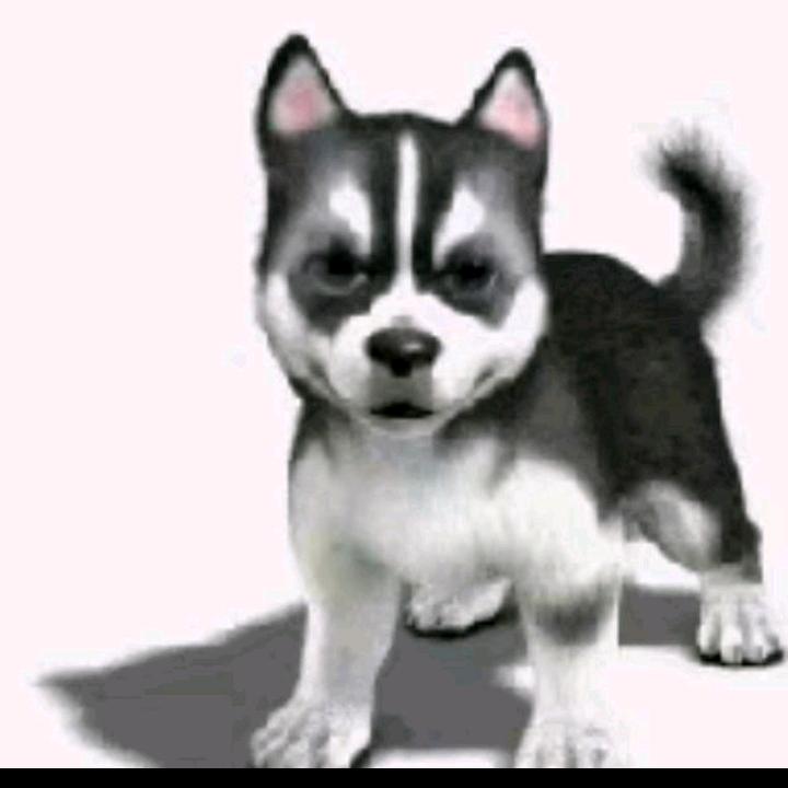 萍水相逢🌹🌹