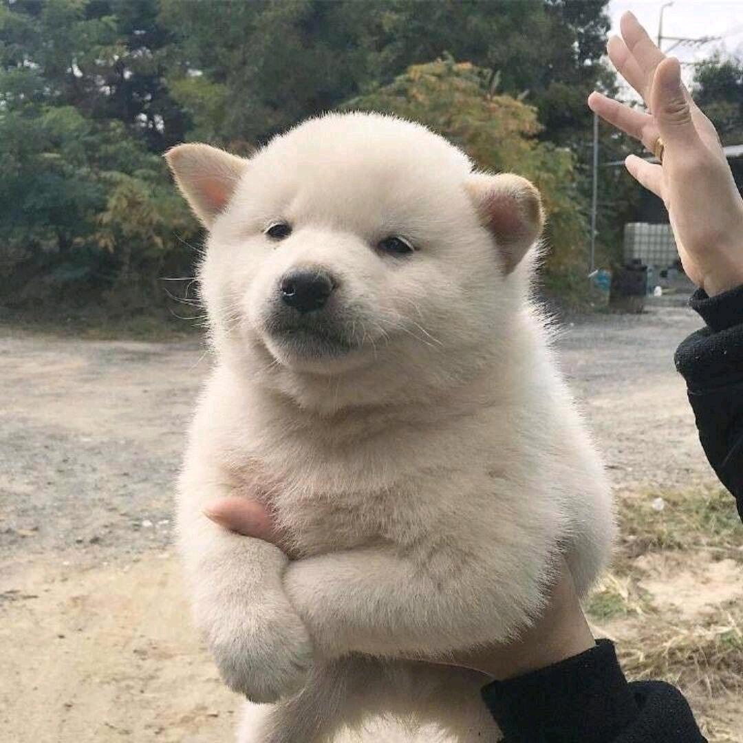 听会你的歌（06/1/26）