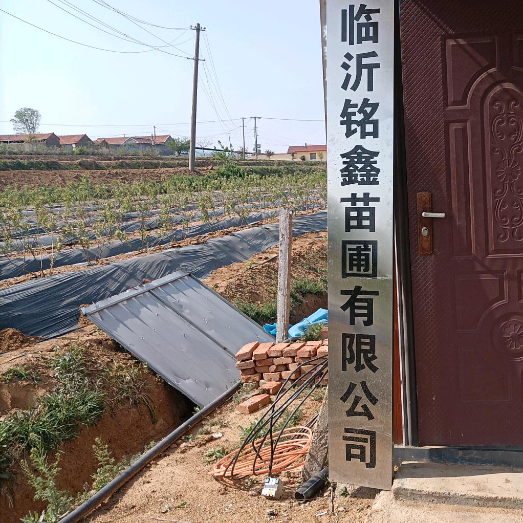 铭鑫苗圃绿植臻选阁