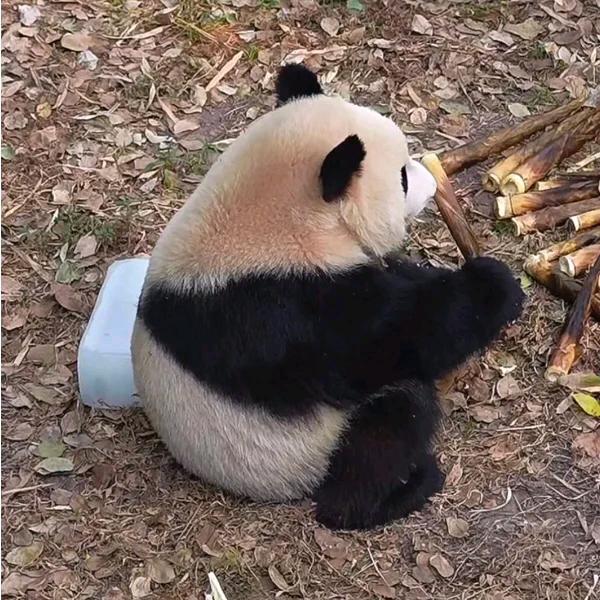 只想说烦死了的姐