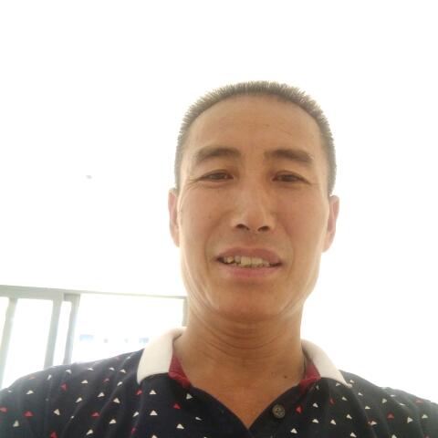 自由自在