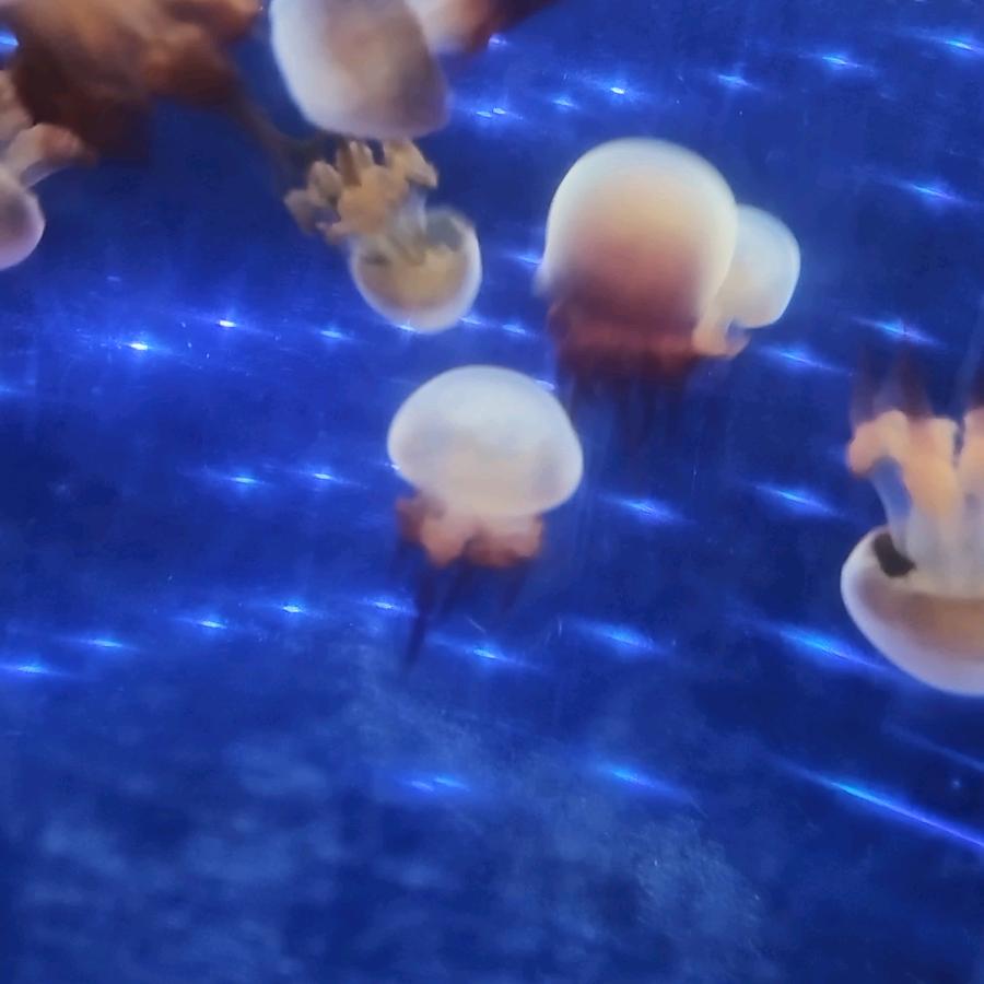 静静静