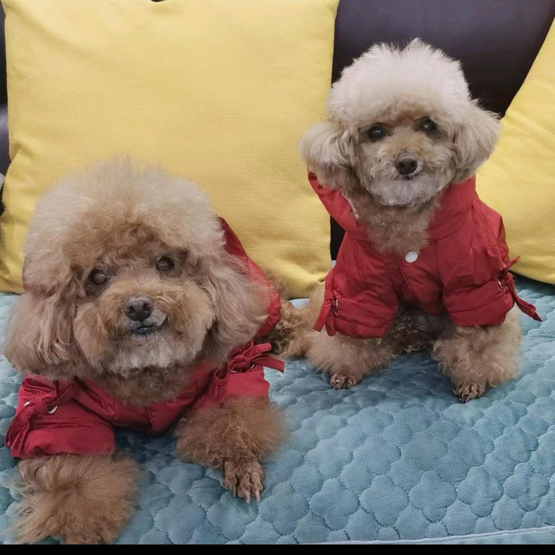 𝙡̶̶̶𝙤̶̶̶𝙫̶̶̶𝙚̶静儿