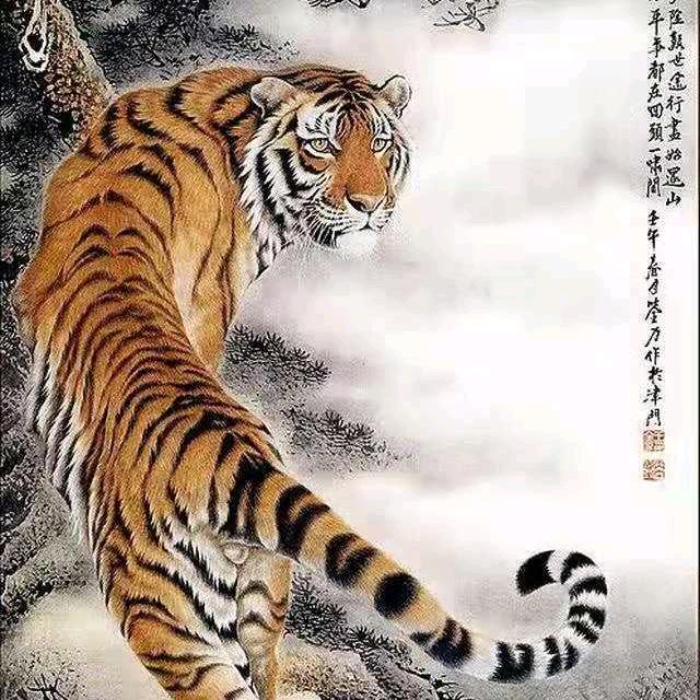 父子情缘🐯🐯