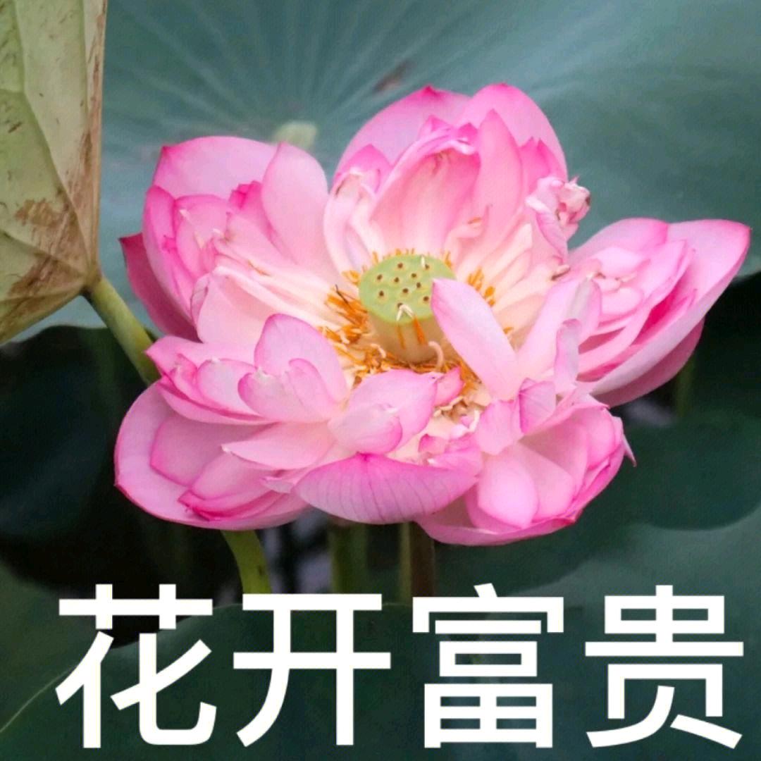 魏