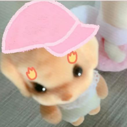 爱喝茉莉奶绿～