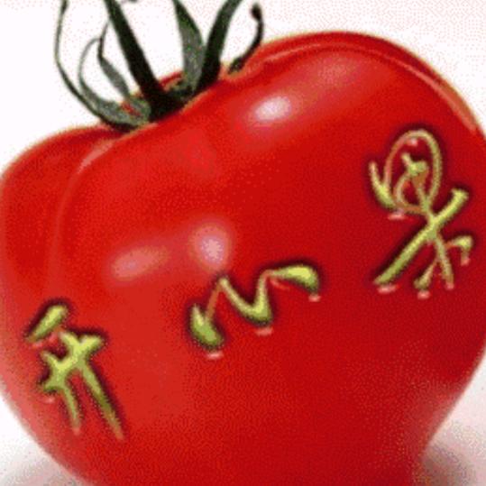 开心果🌺
