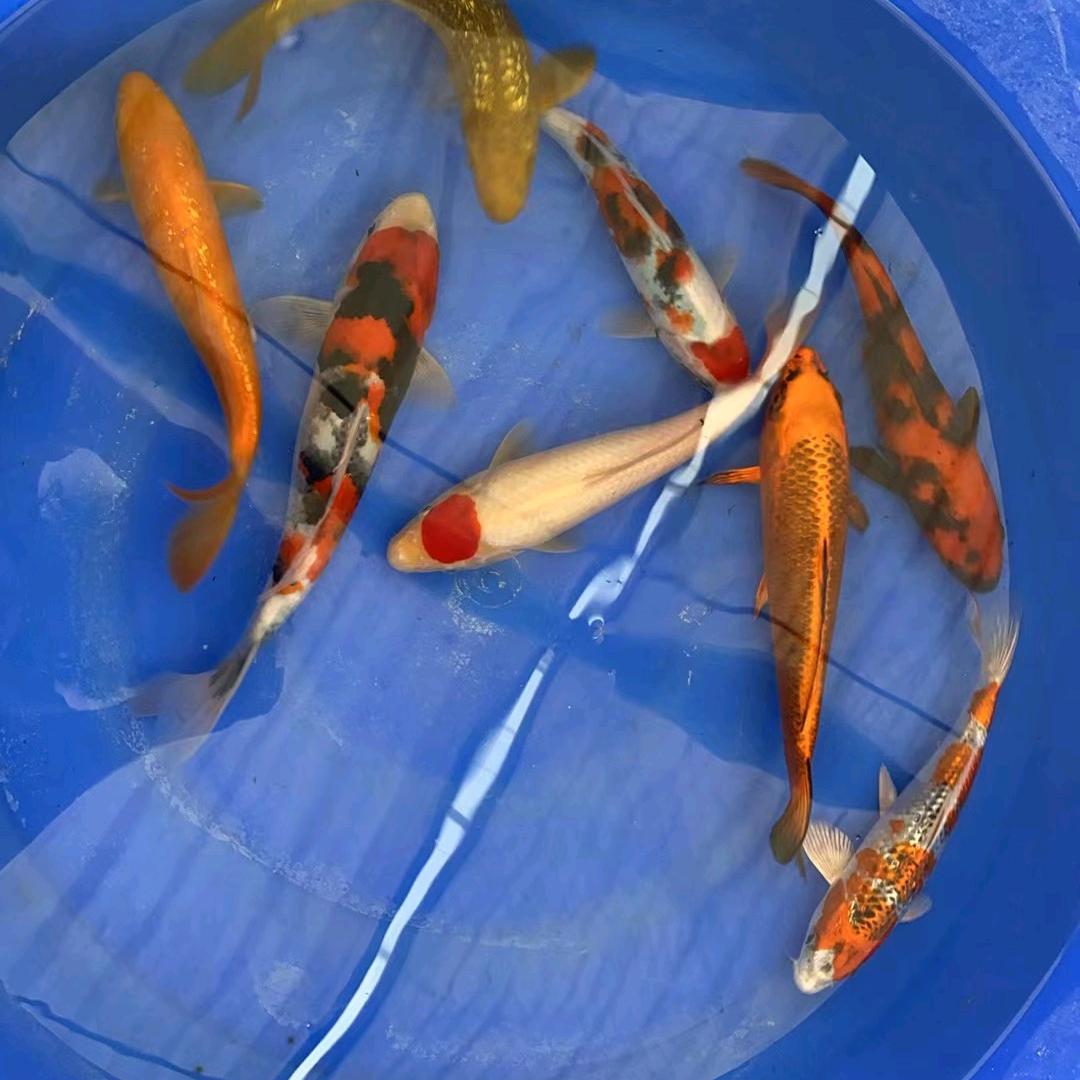 天涯