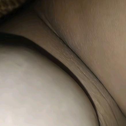 星尔特欢朋国际