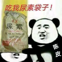 南江灬悍匪