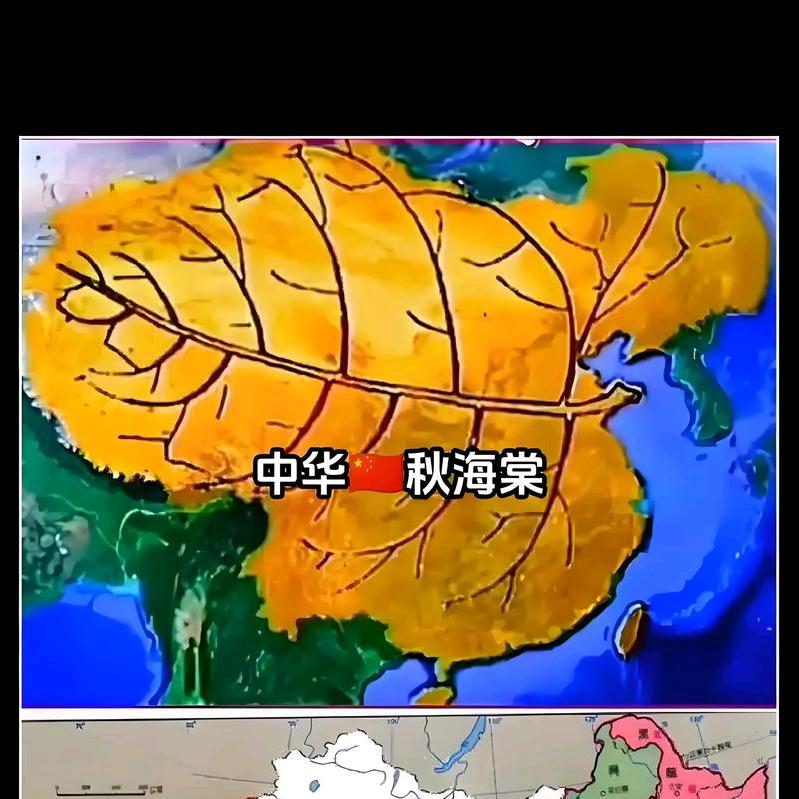 漆漆