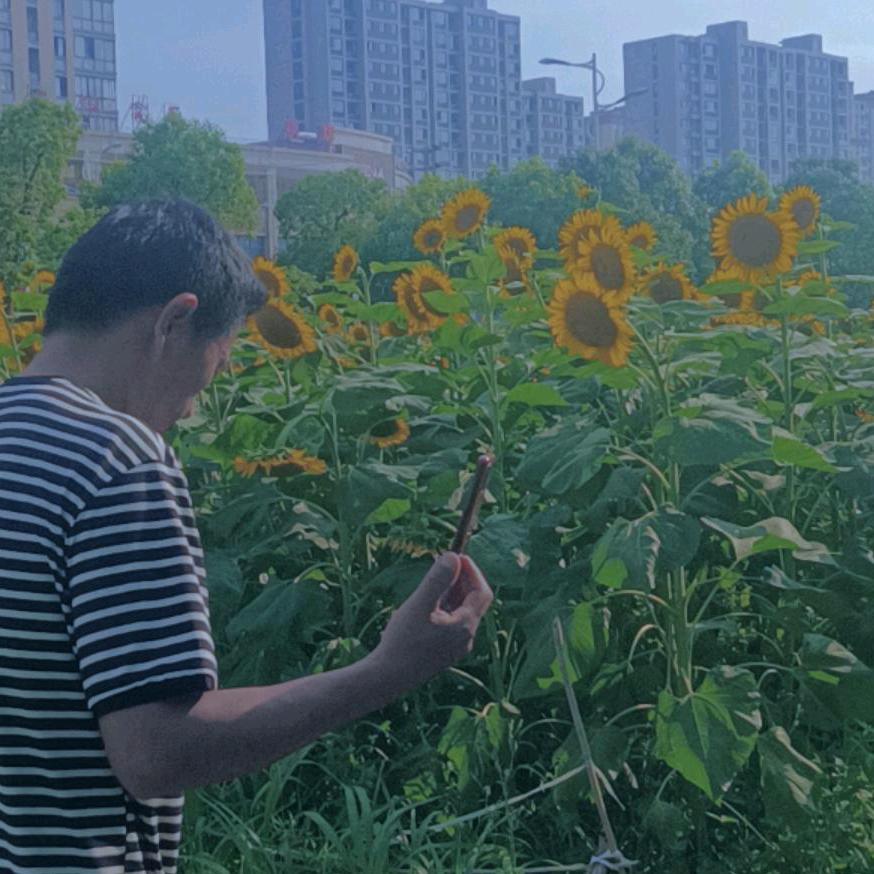 随缘