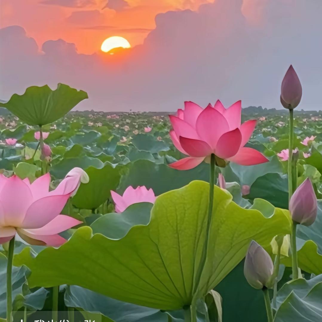 ঞᩚ᭄幸运ꕥ相随《取燕子猴子》