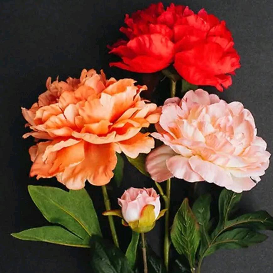 升学规划-郭老师