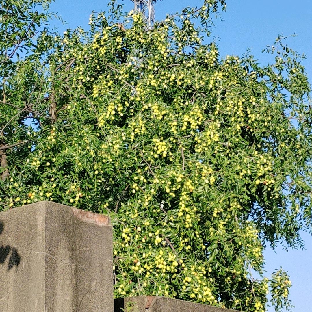 为你，我戒了酒！