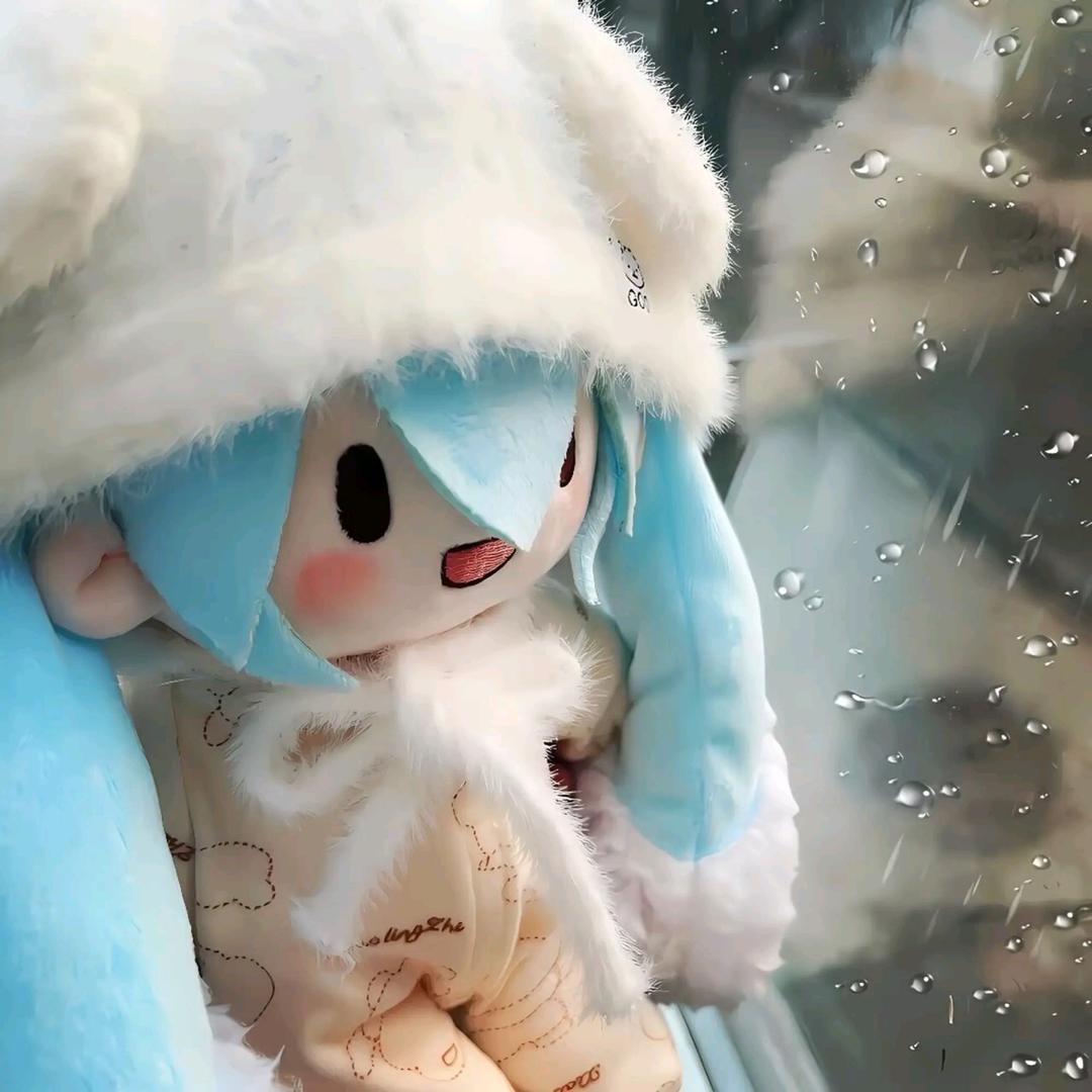 月亮🌙