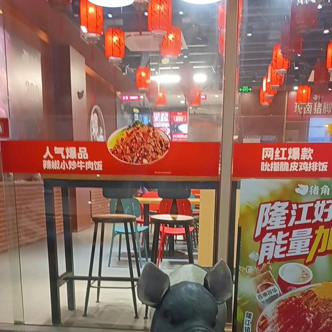 专业的