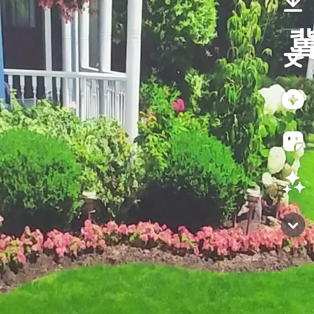 贝贝妈学习中