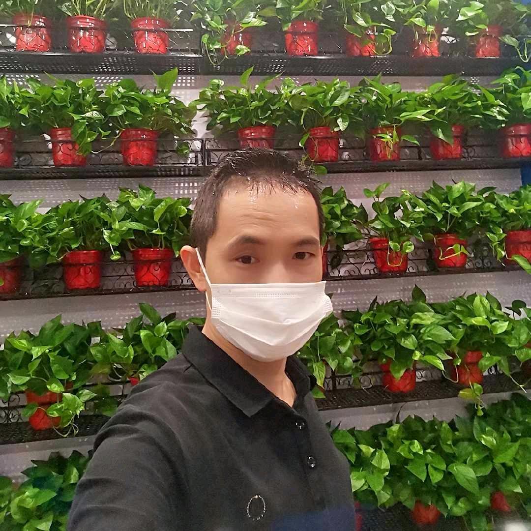 流星🌠雨凉菜煎饼一道菜)