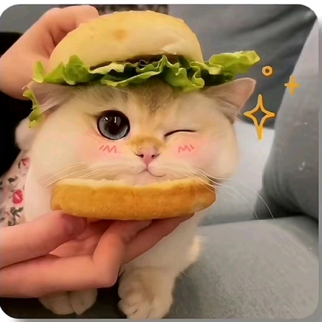 琦乐无穷(登船两次)