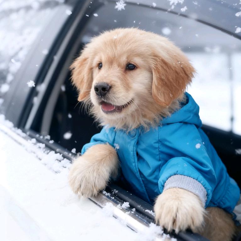 奎屯金融服务，