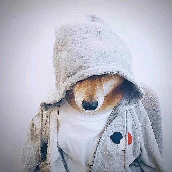 大娃໊ོﻬ