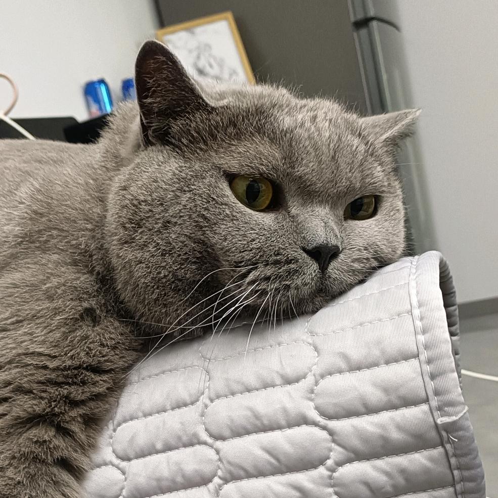 ✨爱✨我🌟用✨心🌟