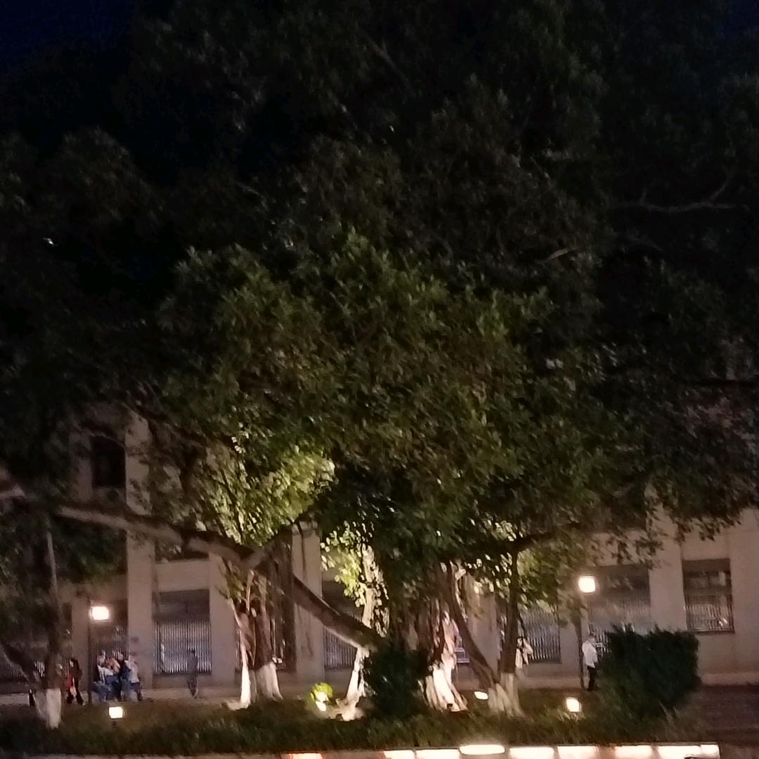 浪迹天涯人生皆过客