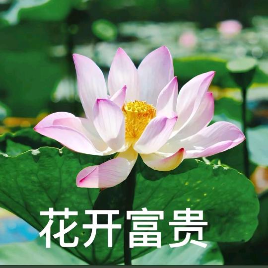 一个五