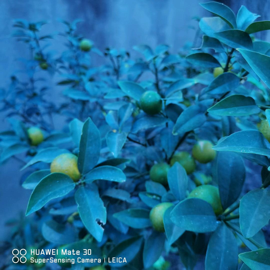 瞧一瞧（老周）